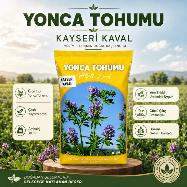 Kayseri Kaval Yonca Tohumu 10 Kg