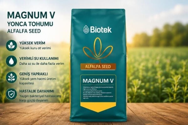 Magnum V kaplamalı yonca tohumu 10 kg premium tanıtım görseli