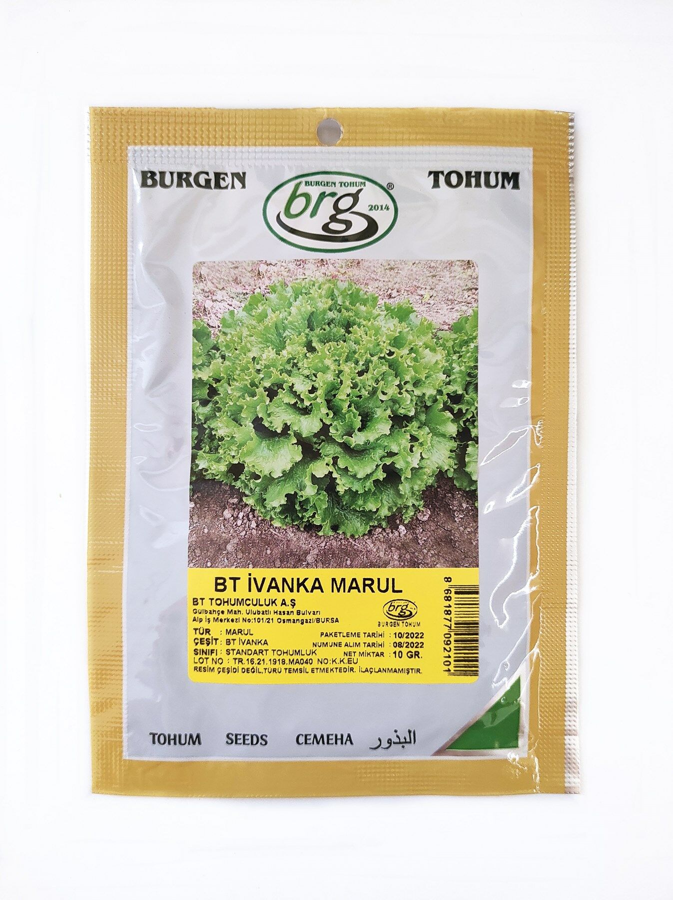 BT İvanka Marul Tohumu  (10 gr)