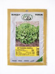 BT İvanka Marul Tohumu  (10 gr)