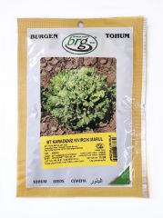 BT Karadeniz Kıvırcık  Marul Tohumu  (10 gr)