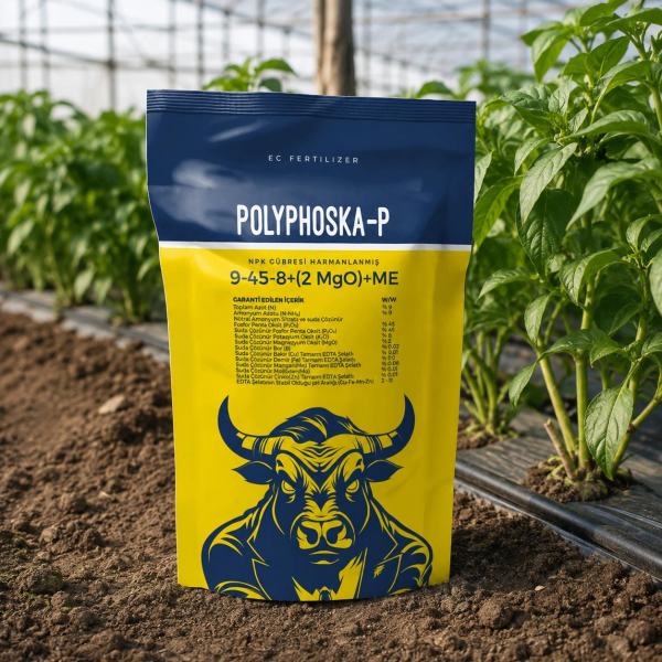 Candem Polyphoska-P 9-45-8 Yaprak Gübresi 2,5 Kg