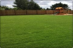 İthal Çim Tohumu 10 Kg Eco Planet 6 Lı Karışım