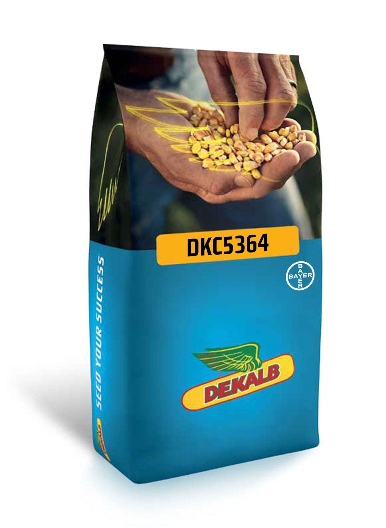 DEKALB DKC5364 Erkenci Danelik Mısır Tohumu