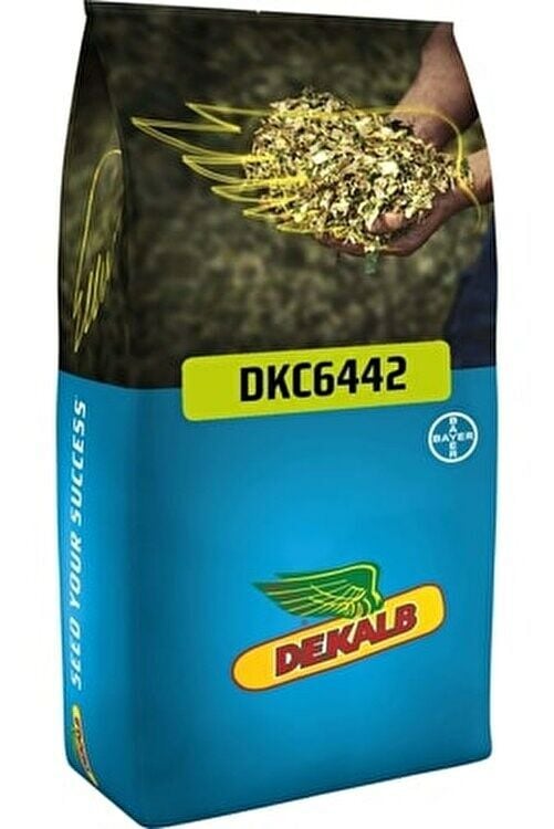 DEKALB DKC6442 Erkenci Silajlık Mısır Tohumu