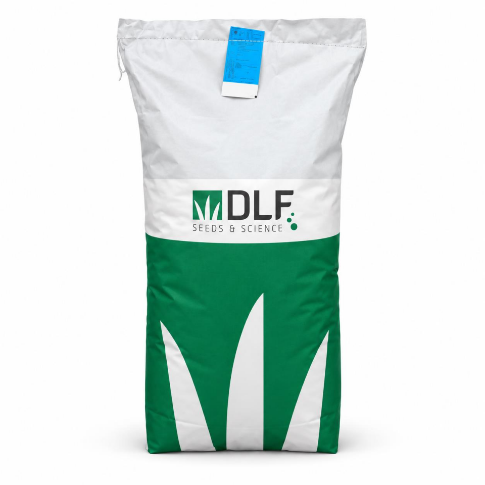 DLF Esquire Lolium Perenne Çim Tohumu 25 kg