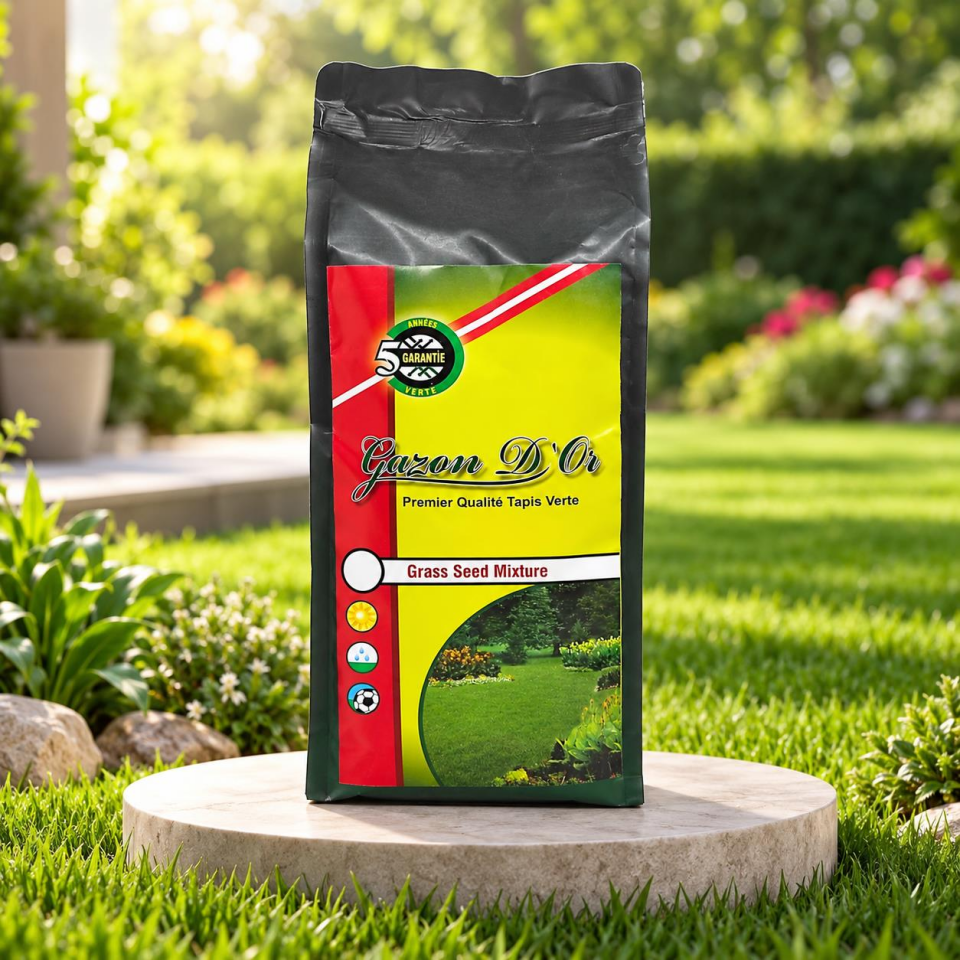 Lolium Perenne Belida İthal Çim Tohumu 1 kg