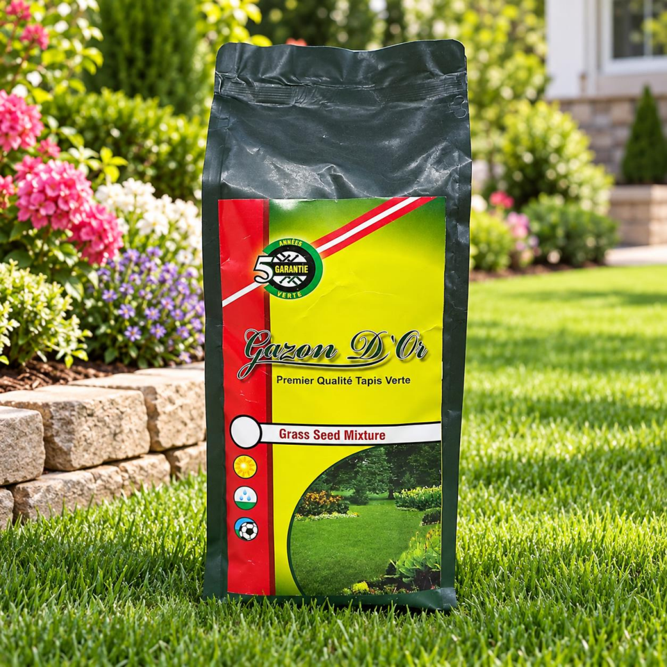 Lolium Perenne Belida İthal Çim Tohumu 1 kg