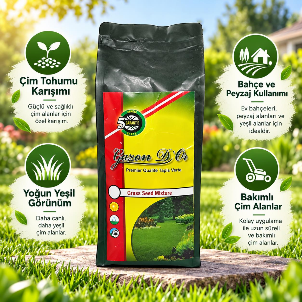 Lolium Perenne Belida İthal Çim Tohumu 1 kg