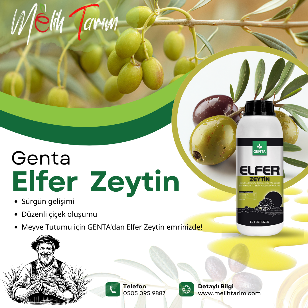 zeytin,gübre,genta