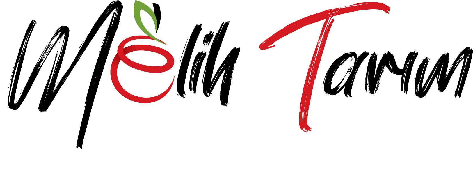 afrika papatyası çiçeği