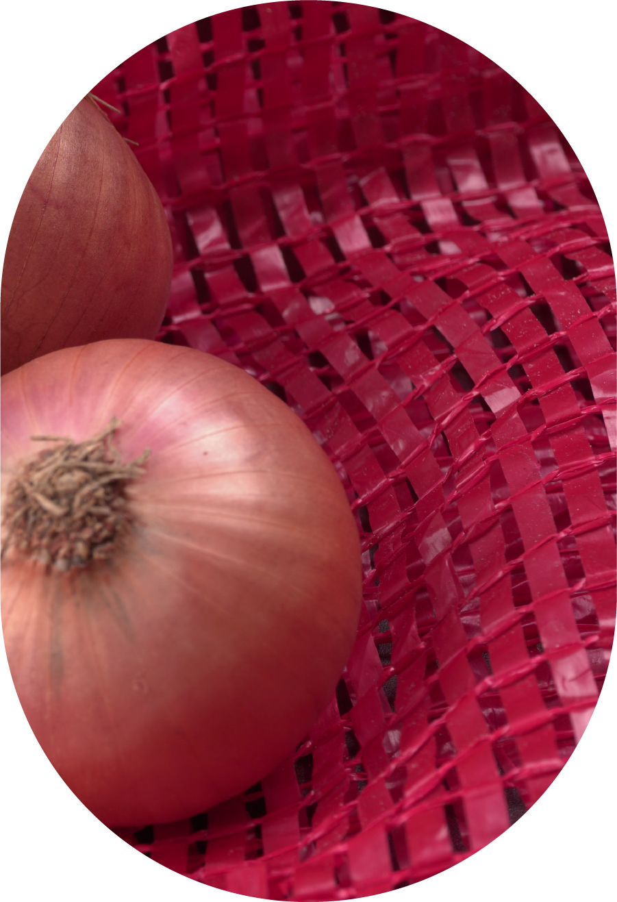 #Soğan <br>Çuvalı