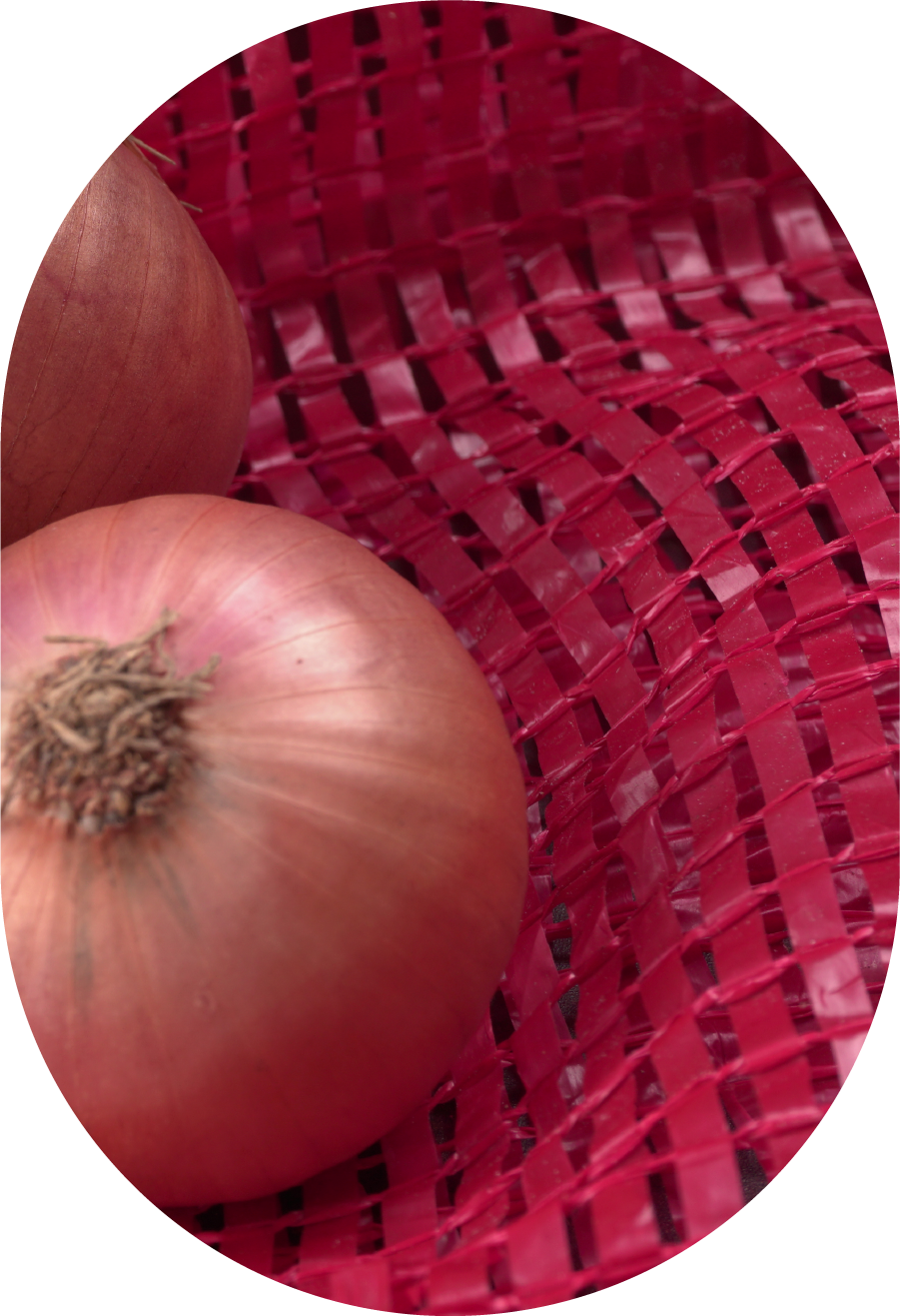 #Soğan <br>Çuvalı