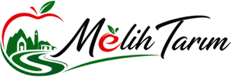 HİBRİD AYÇİÇEĞİ TOHUMU-LG 5582 | Melih Tarım